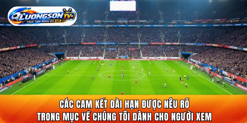Các cam kết dài hạn được nêu rõ trong mục về chúng tôi dành cho người xem